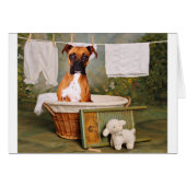 This is not funny (Front Horizontal)