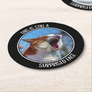 This is Still A Surprised Face Funny Cute Cat Meme Round Paper Coaster