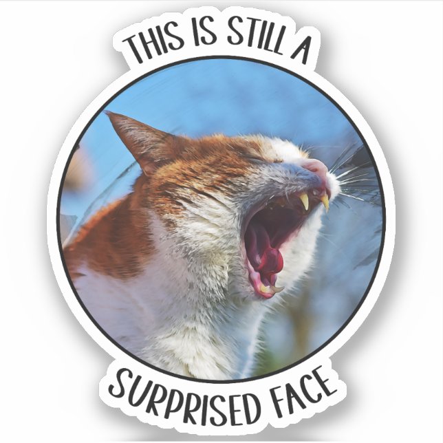 This is Still A Surprised Face Funny Cute Cat Meme Sticker (Front)