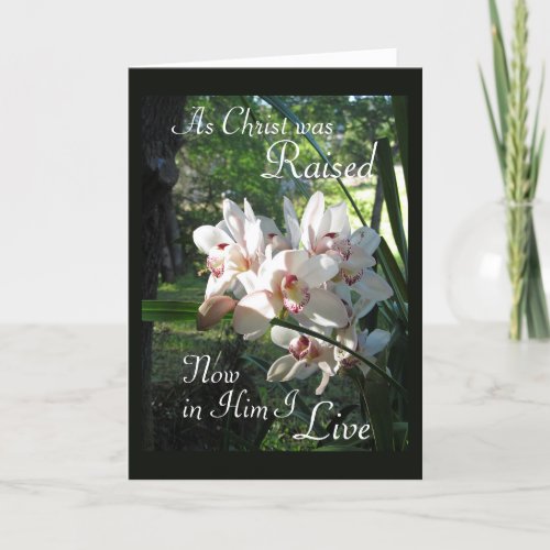 This is The Way Orchid Adult Baptism Card