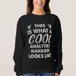 This Is What A Cool Analytics Manager Looks Like 1 Sweatshirt