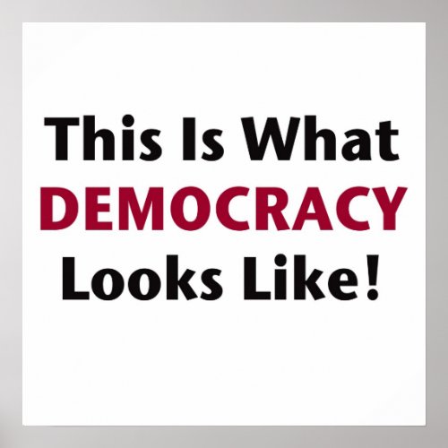This is What Democracy Looks Like Poster