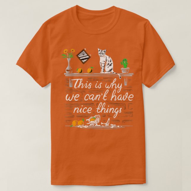 This is Why We Can't Have Nice Things I Do What I  T-Shirt (Design Front)