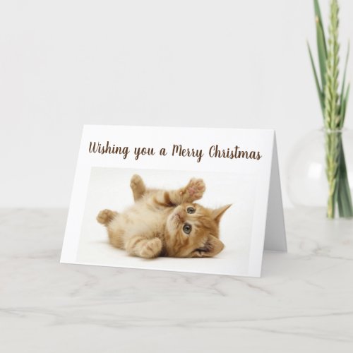 THIS LITTLE KITTY WANTS TO SAY MERRY CHRISTMAS HOLIDAY CARD