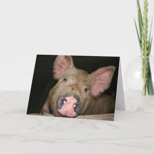 This Little Piggy says Get Well Card (Front)