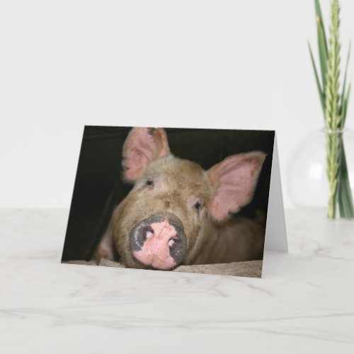 This Little Piggy says I Love You Card