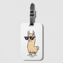 This Llama Drama Is Real quirky pose in sunglasses