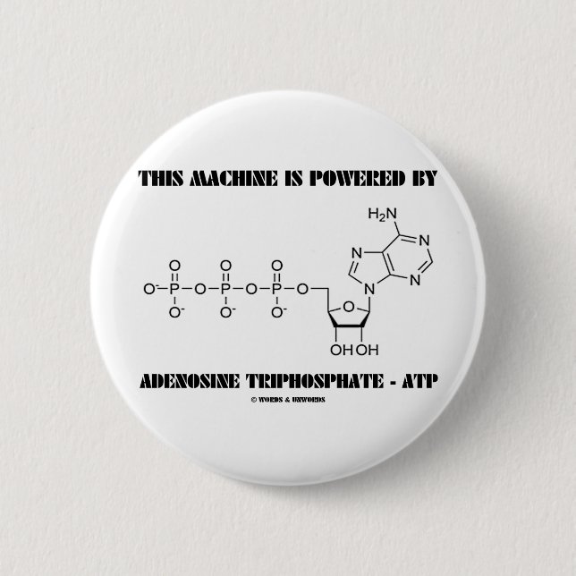 This Machine Is Powered By Adenosine Triphosphate Pinback Button (Front)