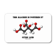 This Machine Is Powered By Citric Acid Chemistry