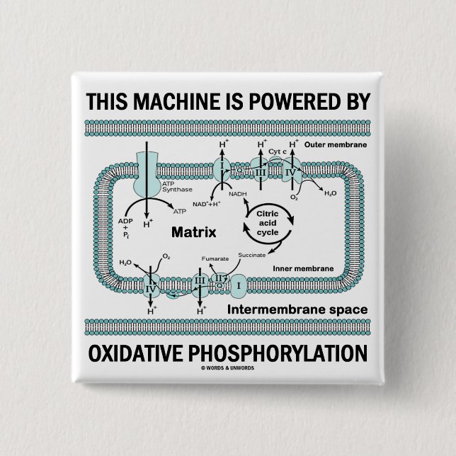 This Machine Powered By Oxidative Phosphorylation Pinback Button (Front)