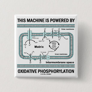 This Machine Powered By Oxidative Phosphorylation Pinback Button