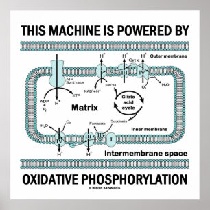 This Machine Powered By Oxidative Phosphorylation Poster