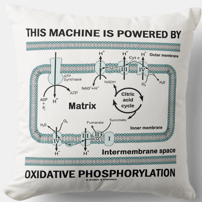 This Machine Powered By Oxidative Phosphorylation Throw Pillow (Throw pillow for anyone powered by oxidative phosphorylation (& that means you))