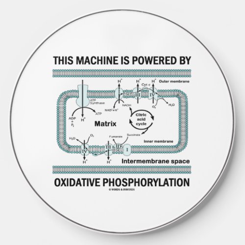This Machine Powered By Oxidative Phosphorylation Wireless Charger