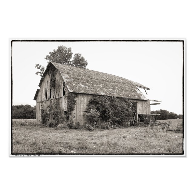 This Old Barn Photo Print (Front)