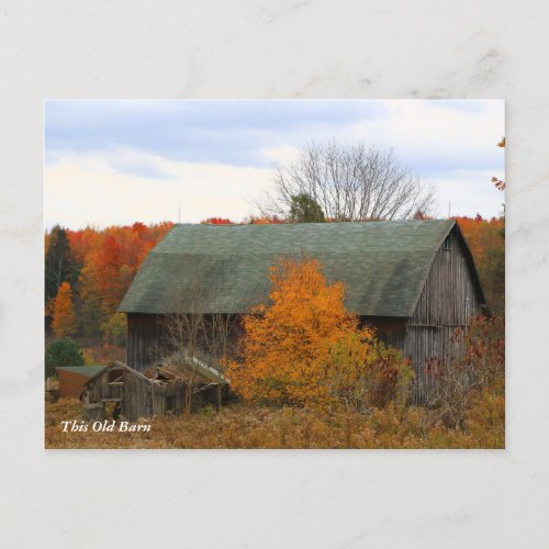 This Old Barn Postcard