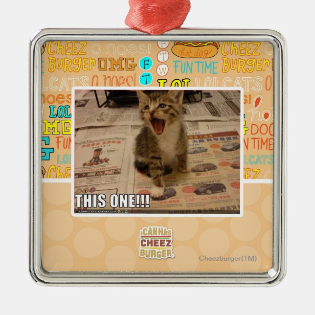 This one! metal ornament (Front)