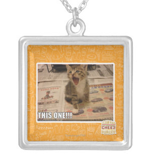 This one! silver plated necklace