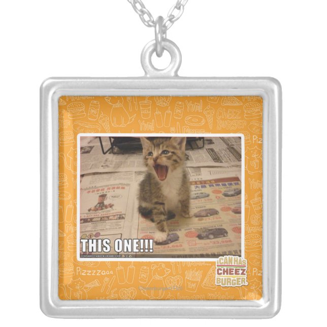This one! silver plated necklace (Front)