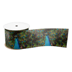 This peacock is watching you! satin ribbon