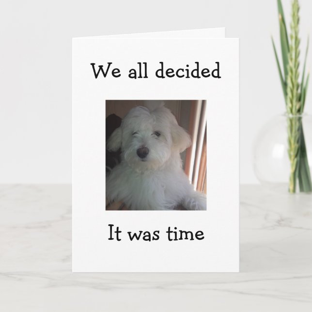 THIS PUP WILL SAY HAPPY BIRTHDAY FOR YOUR GROUP CARD (Front)