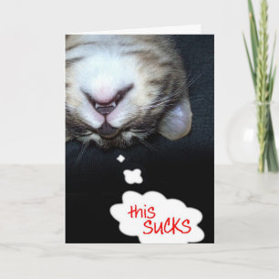 This Sucks! Get Well Kitty Card