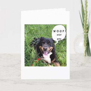 THIS TALKING DOG SAYS WOOF - WUV YOU-ANNIVERSARY CARD