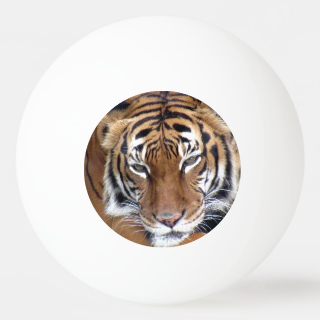 This Tiger Means Business Ping Pong Ball (Back)
