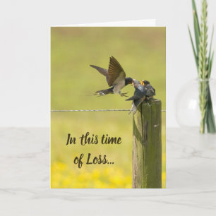This Time of Loss Scripture Comfort Swallow Bird Card