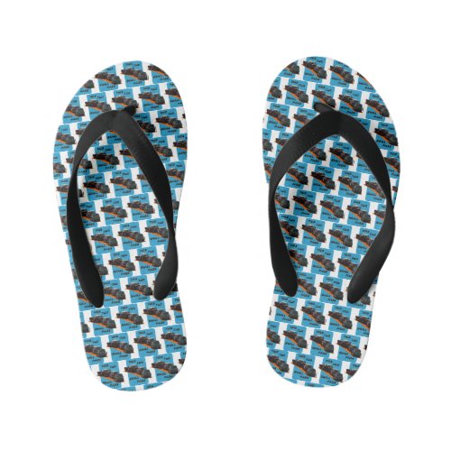 This Two _ Pair of Flip Flops