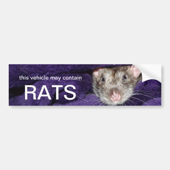 this vehicle may contain rats bumper sticker (Front)