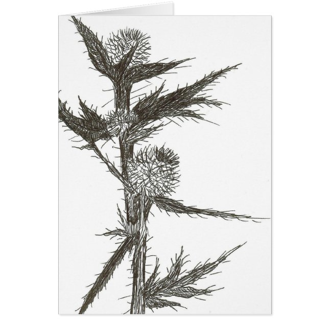 Thistle, Blank Cards (Front)