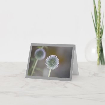 Thistle Blank Note Card by pulsDesign at Zazzle