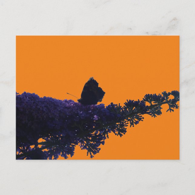 Thistle Butterfly on Butterfly Bush DIY Postcard (Front)