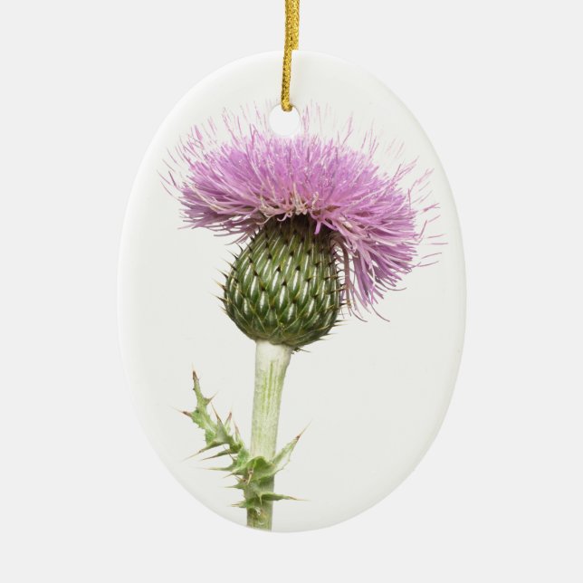 Thistle Ceramic Ornament (Front)