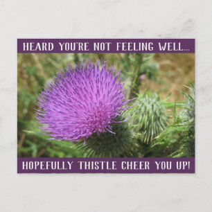 Thistle Cheer You Up Get Well Postcard