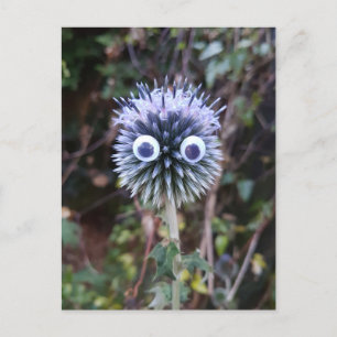 Thistle do nicely ... postcard