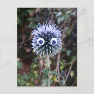 Thistle do nicely ... postcard