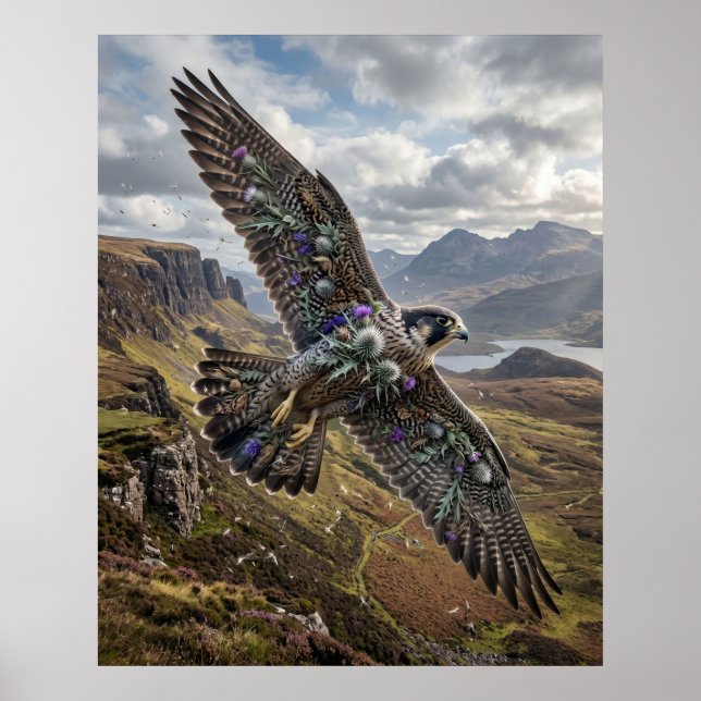 Thistle Falcon Highland Sky Poster (Front)