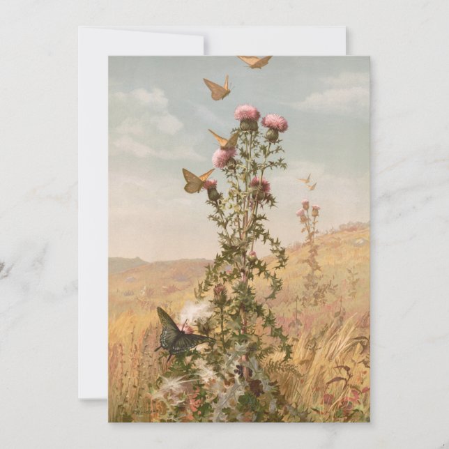 Thistle | Fidelia Bridges (Front)