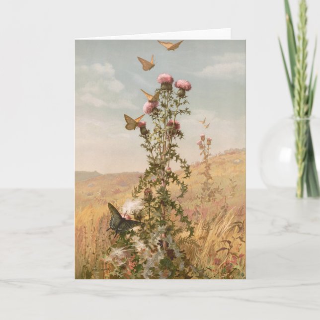 Thistle | Fidelia Bridges Card (Front)