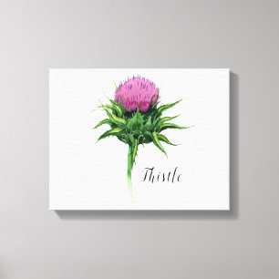 Thistle Flower Watercolor Canvas Print
