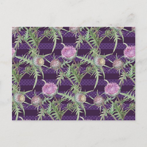 Thistle flowersviolet postcard