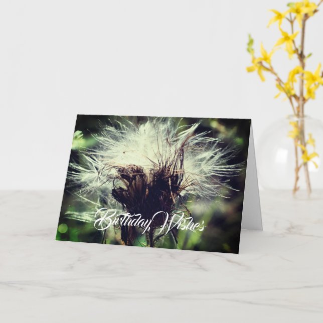 Thistle Fluff Flower Customizable Birthday  Card (Yellow Flower)