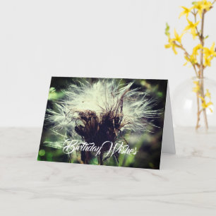Thistle Fluff Flower Customizable Birthday  Card