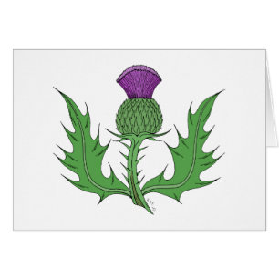 Thistle Greeting Card