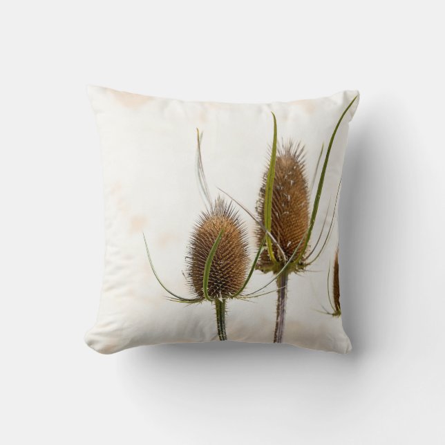 thistle head on abstract throw pillow (Front)