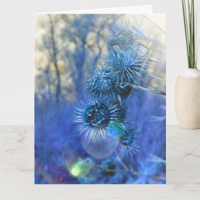 Thistle in Purple Card (Front)