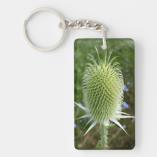 Thistle in the summer sun keychain (Front)