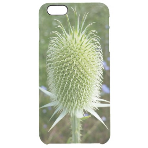 Thistle in the summer sun clear iPhone 6 plus case